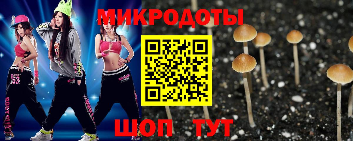 Псилоцибиновые грибы Psilocybine cubensis  Вход с VPN  Галлюциногенные грибы MAGIC MUSHROOMS  Магнитогорск 